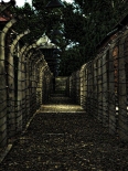 halltbor- Auschwitz