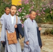 Tibeti szerzetes nk 